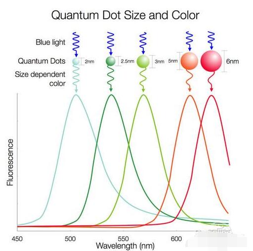 淺談LCD/量子點/OLED三種液晶技術(shù)對比誰更牛